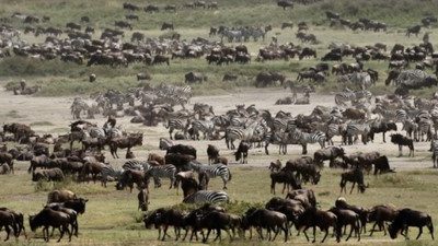 May 2023 Join us on safari to our favourite places!
