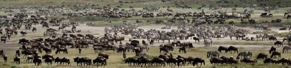 May 2023 Join us on safari to our favourite places!